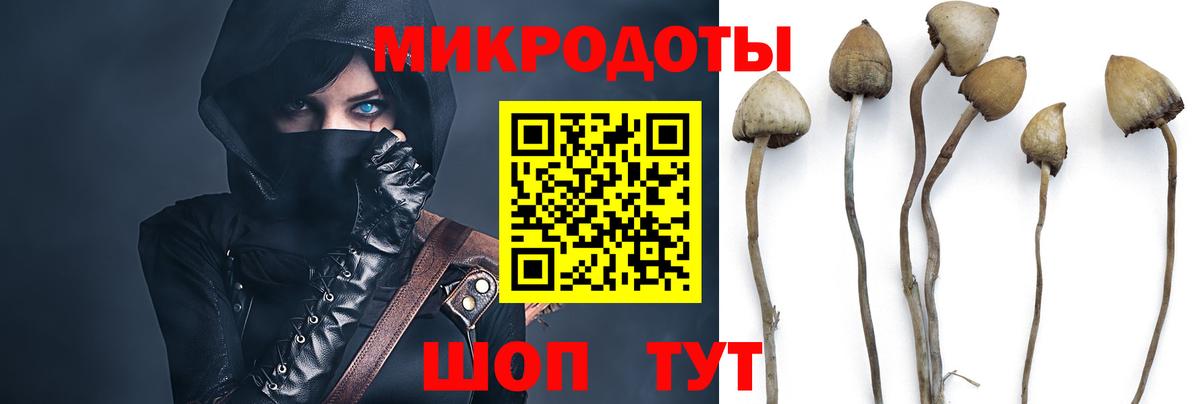 Псилоцибиновые грибы прущие грибы Ливны